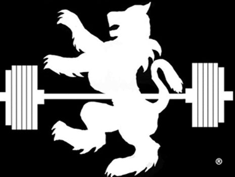 Resistance Training for Young Girls — Building More Than Strength