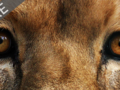 Training the Mind-Muscle Connection