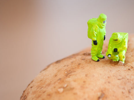 Career- and Body-Killing Food Allergies From Eating the Same Foods Too Often