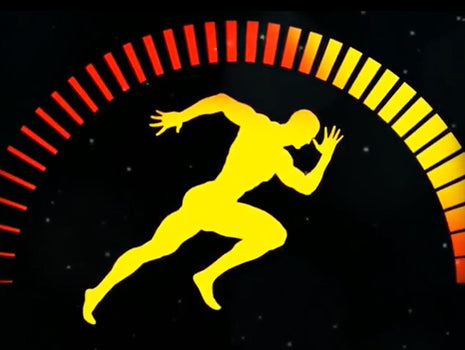 Real People, Real Results — 8 Lessons in Training, Nutrition, and Business