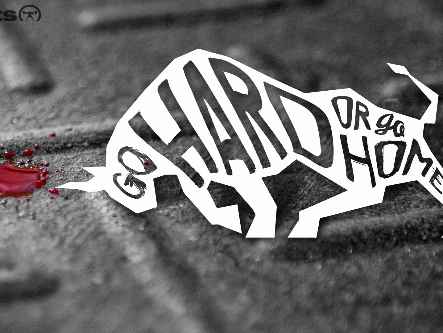 A leap of faith update April 9th, 2014