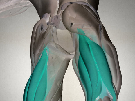 WATCH: The Hanging Hamstring Raise