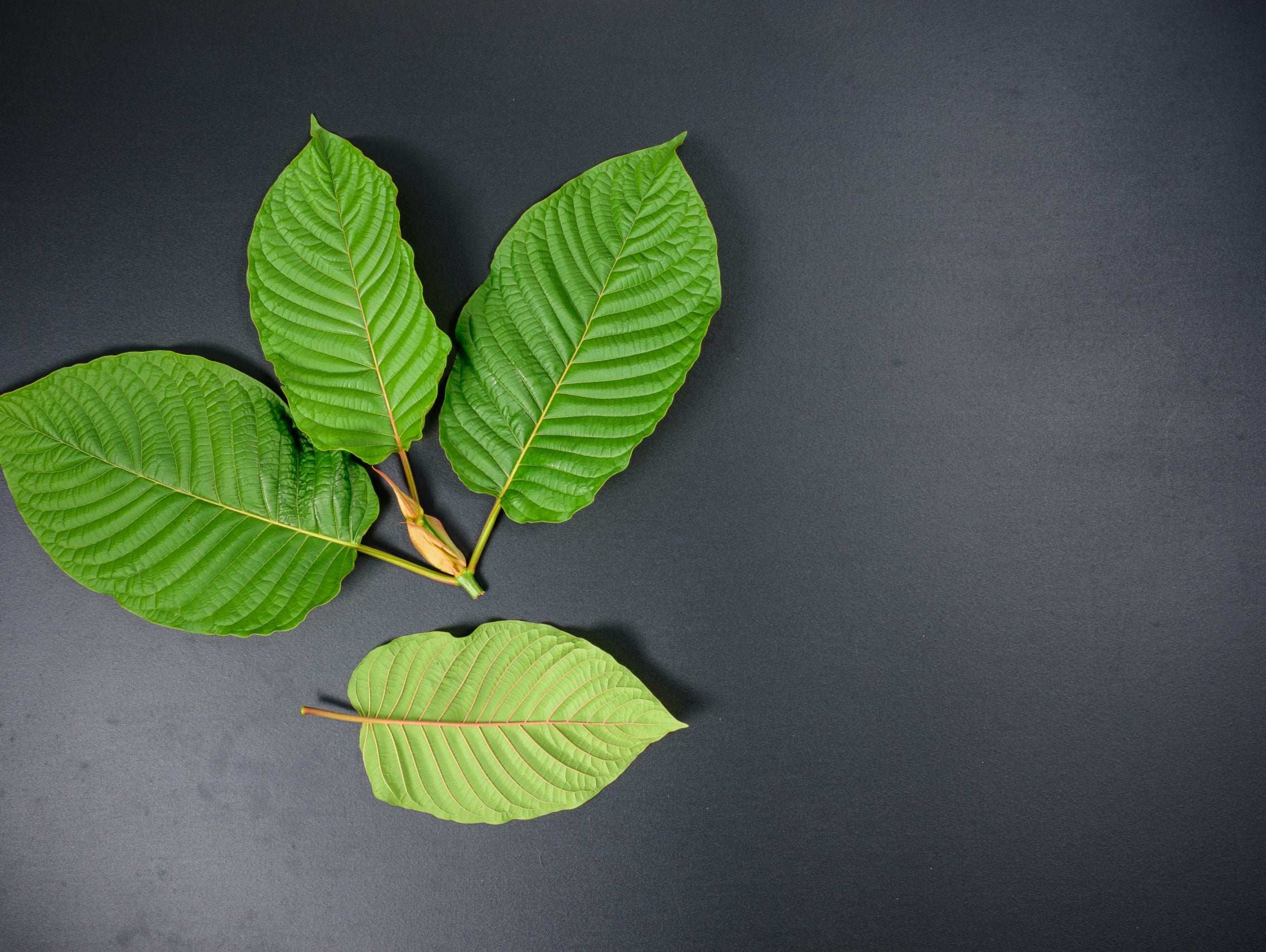 Mental Health, Kratom, and Seeking Help