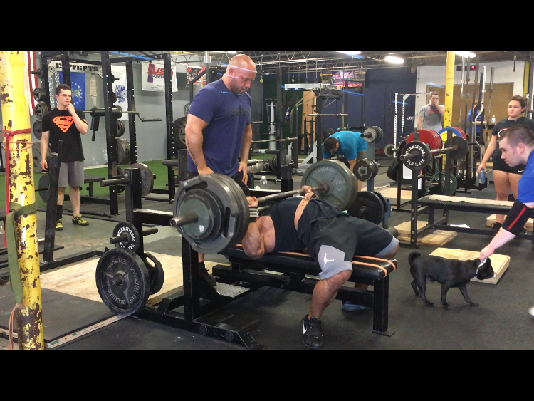 Week 7 - BOB3 Prep