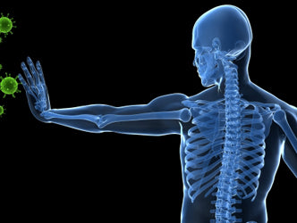 A Strong Immune System