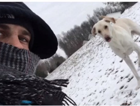 Don't Let Your Dog Get Fat This Winter