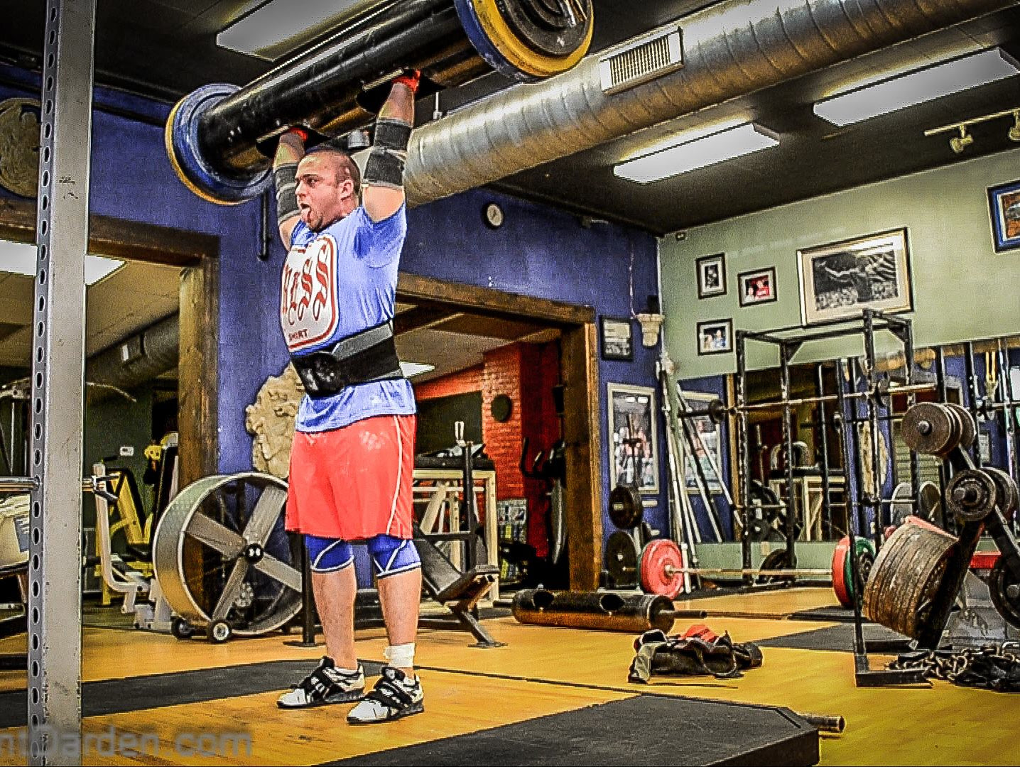 Week 8, Day 2 - Shoulders and Triceps - (w/Video)