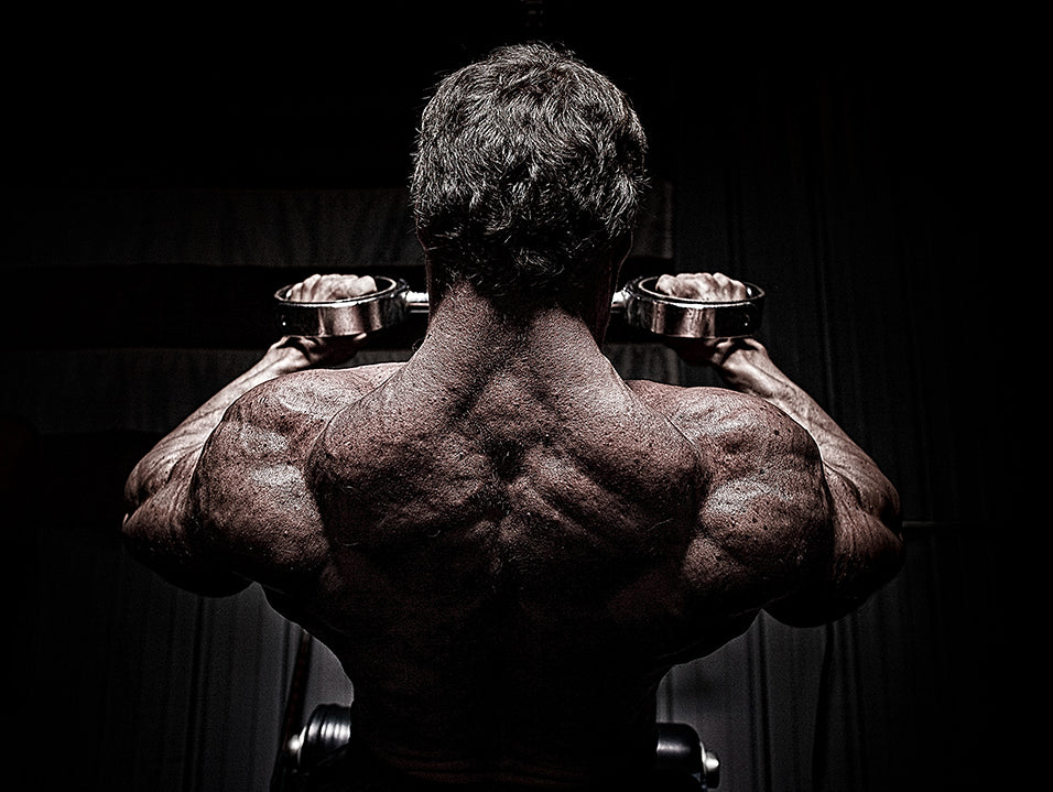 Back Training with Drop Sets, Abs, Calves!