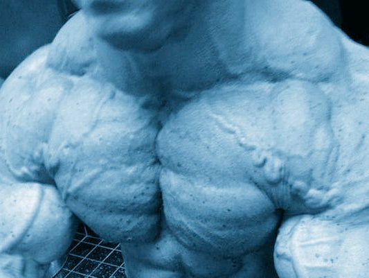 Extended Tension Muscle Building Phase