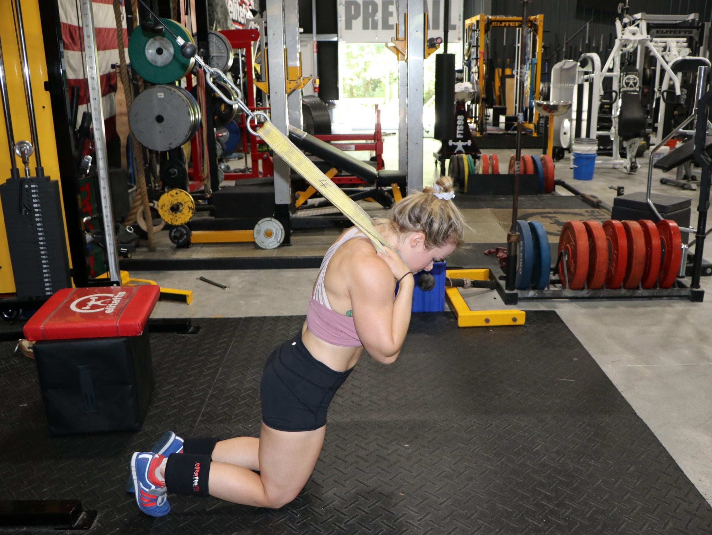 Back work - Hypertrophy