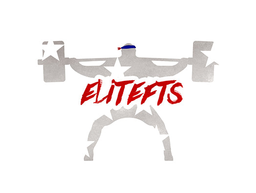 Lower Accessory - Belt Squat Disco