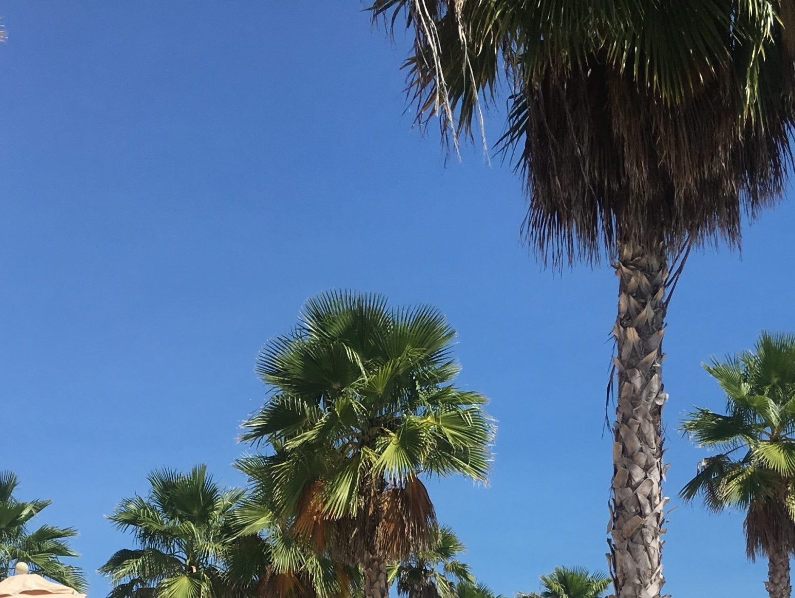 Update: Conclusion of My Hypertrophy Phase, Vacation & My Next Plans…