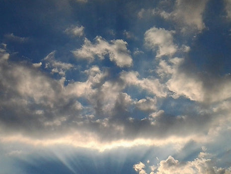 Vincent Dizenzo's Operation Less Fat with a twist