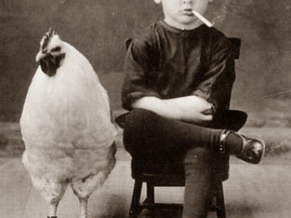 Do you even *work* at Troponin Nutrition bro?