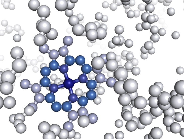 Protein Requirements and the Athlete