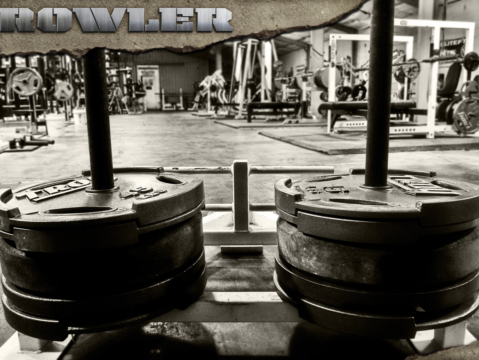 elitefts prowler