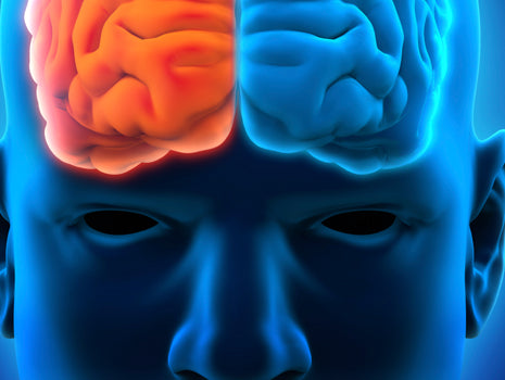 The Psychology of a Champion