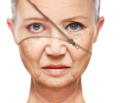 Empowering Intellectuals: Reclaiming the Body — Muscularity, Bone Density, and Lifestyle