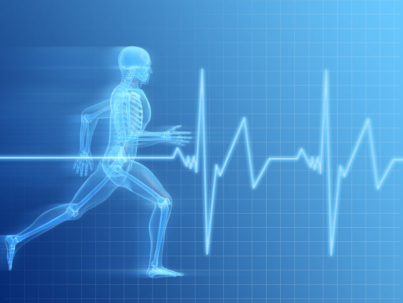 Week 7 Day 3 - Off Season Training - Cardio?