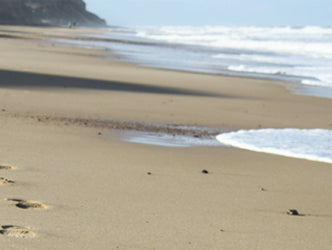 Six Ways to Use Sandbags in Your Football Strength and Conditioning Program