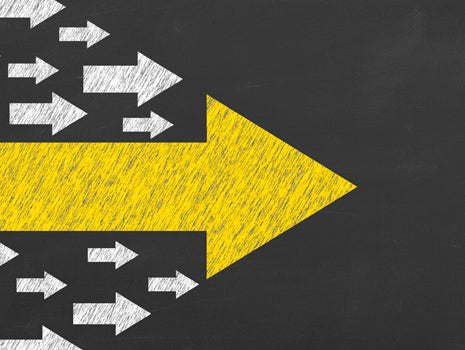 Finding Your Niche in S&C as a Female Coach