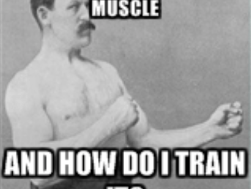 Upper body training session