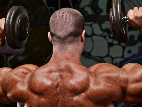 Bodybuilding Day: Chest, Shoulders, Triceps
