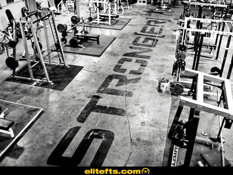 1st Workout at Everybodies gym