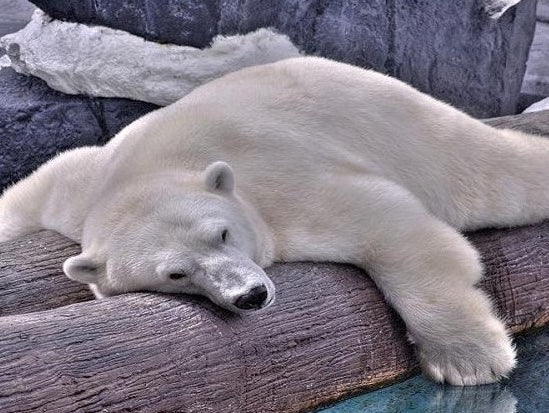 very light uppper work 4.29.18