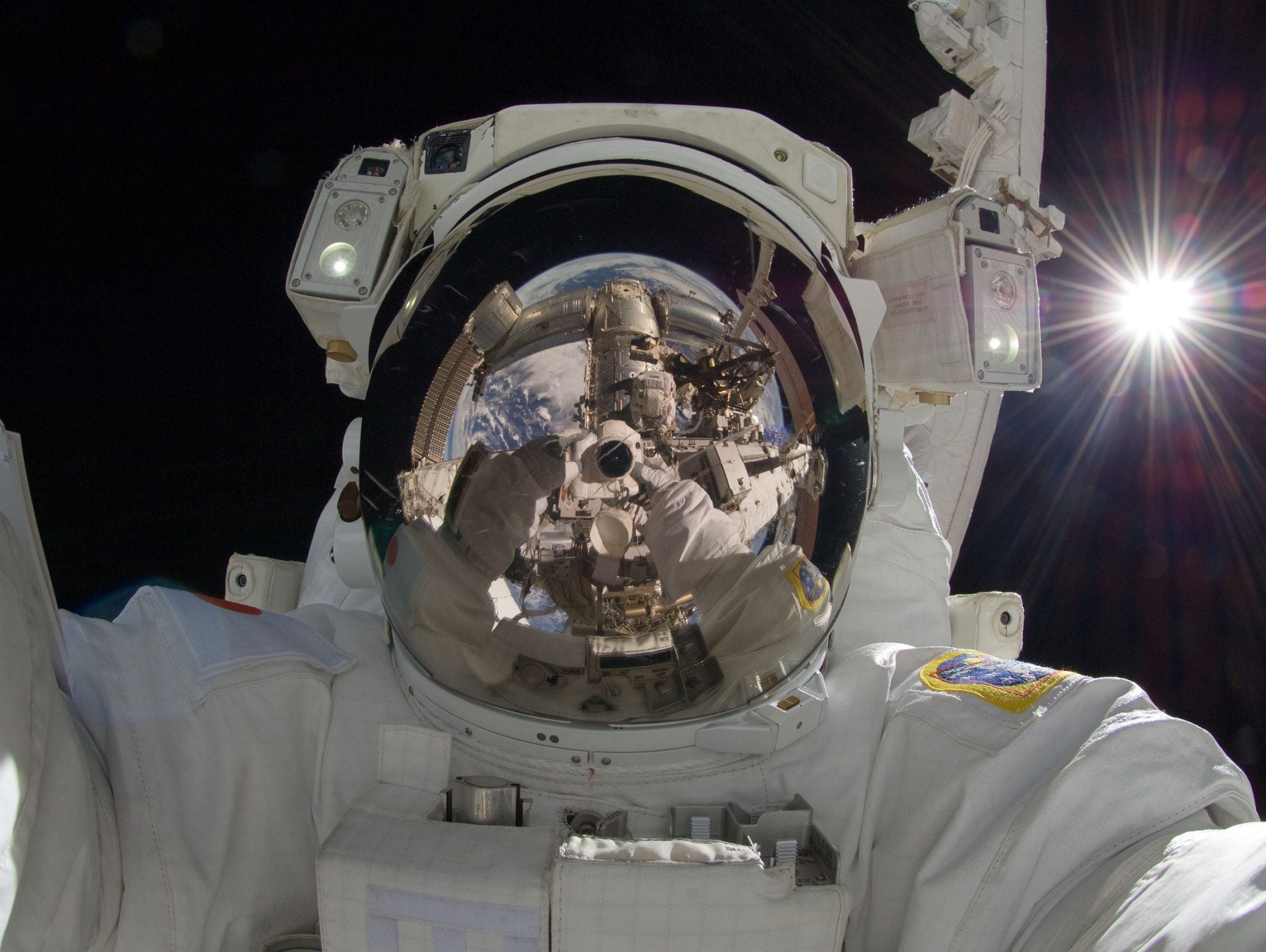 Hamstrings, shoulders, calves