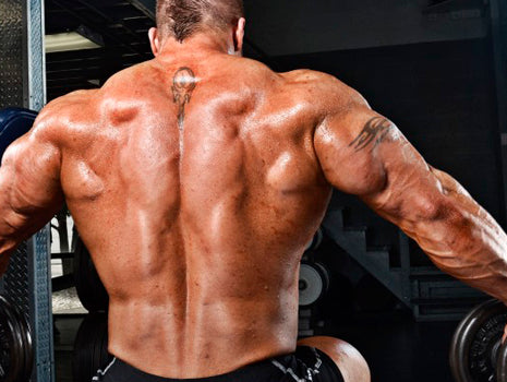 big back working out