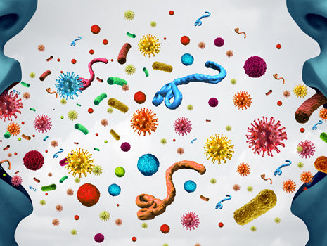 Epidemic Survival Strategies for Fitness Enthusiasts and Professionals