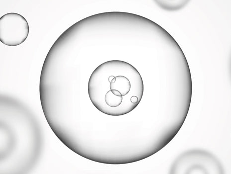 The Basics of Stem Cells