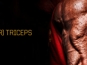 stronger triceps
