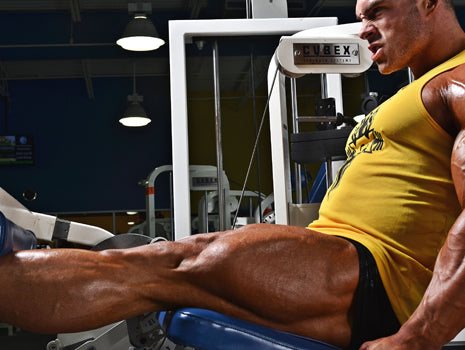 5 Protocols to Build Bigger, Stronger Legs