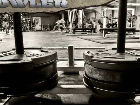 The Pyramids of Giza: A Prowler Challenge