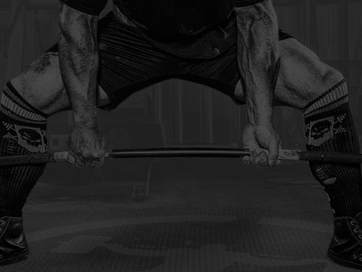 elitefts training log