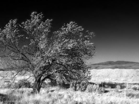 Real World Autism – The Cure