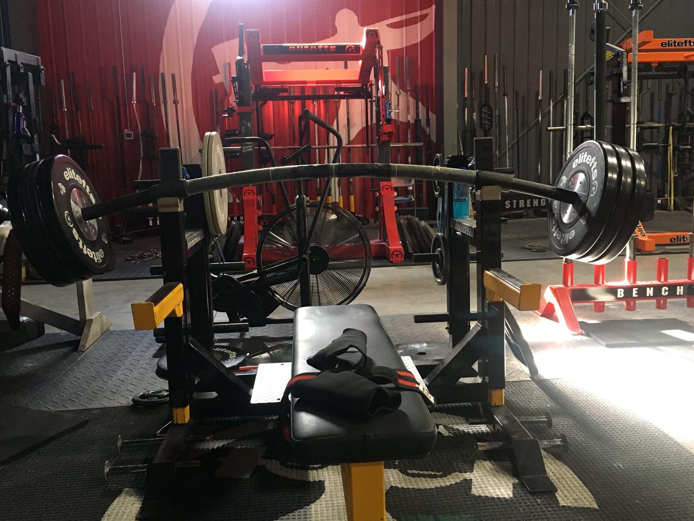 Midweek training 01.30-31.2019