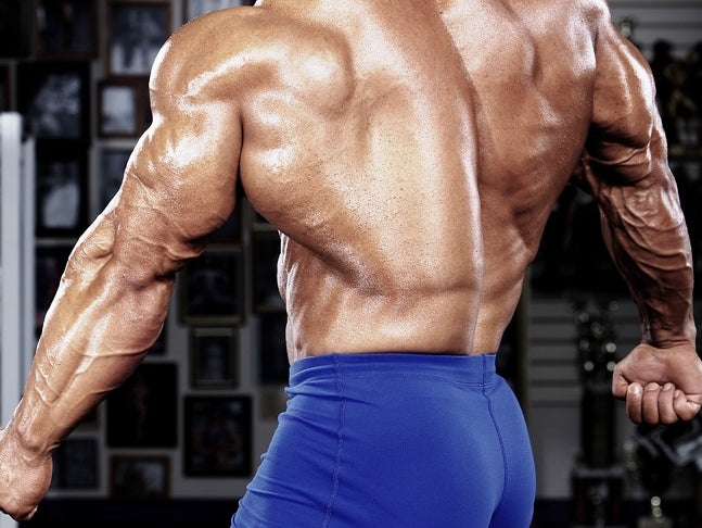 Back, Abs, Calves Training