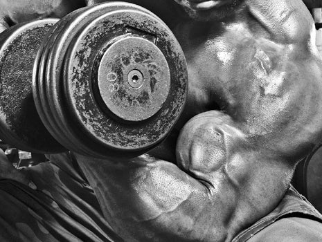 Bodybuilding Day: Back and Bi's