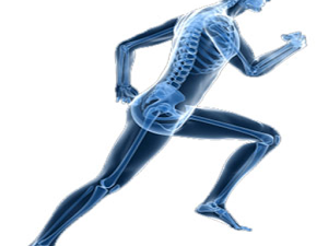 Released From Physiotherapy Today !