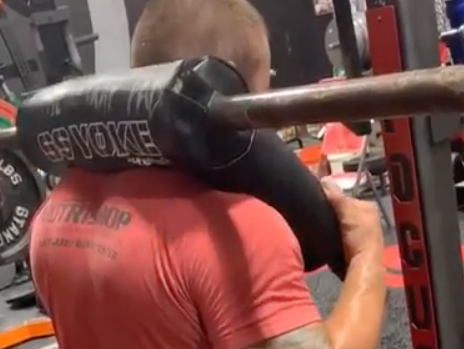 Looking To Build Your Upper Back?