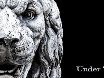 Backing Down & Deloading