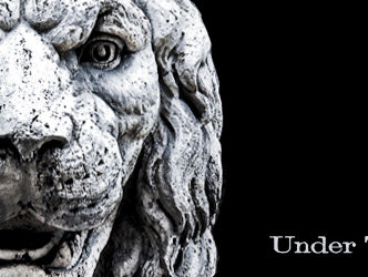 What USPLabs & Holly Holm Share in Common