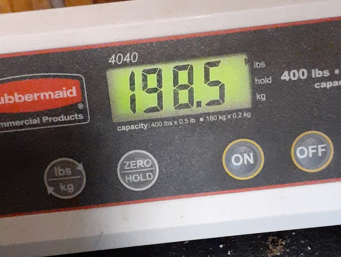 Welcome to Onederland!