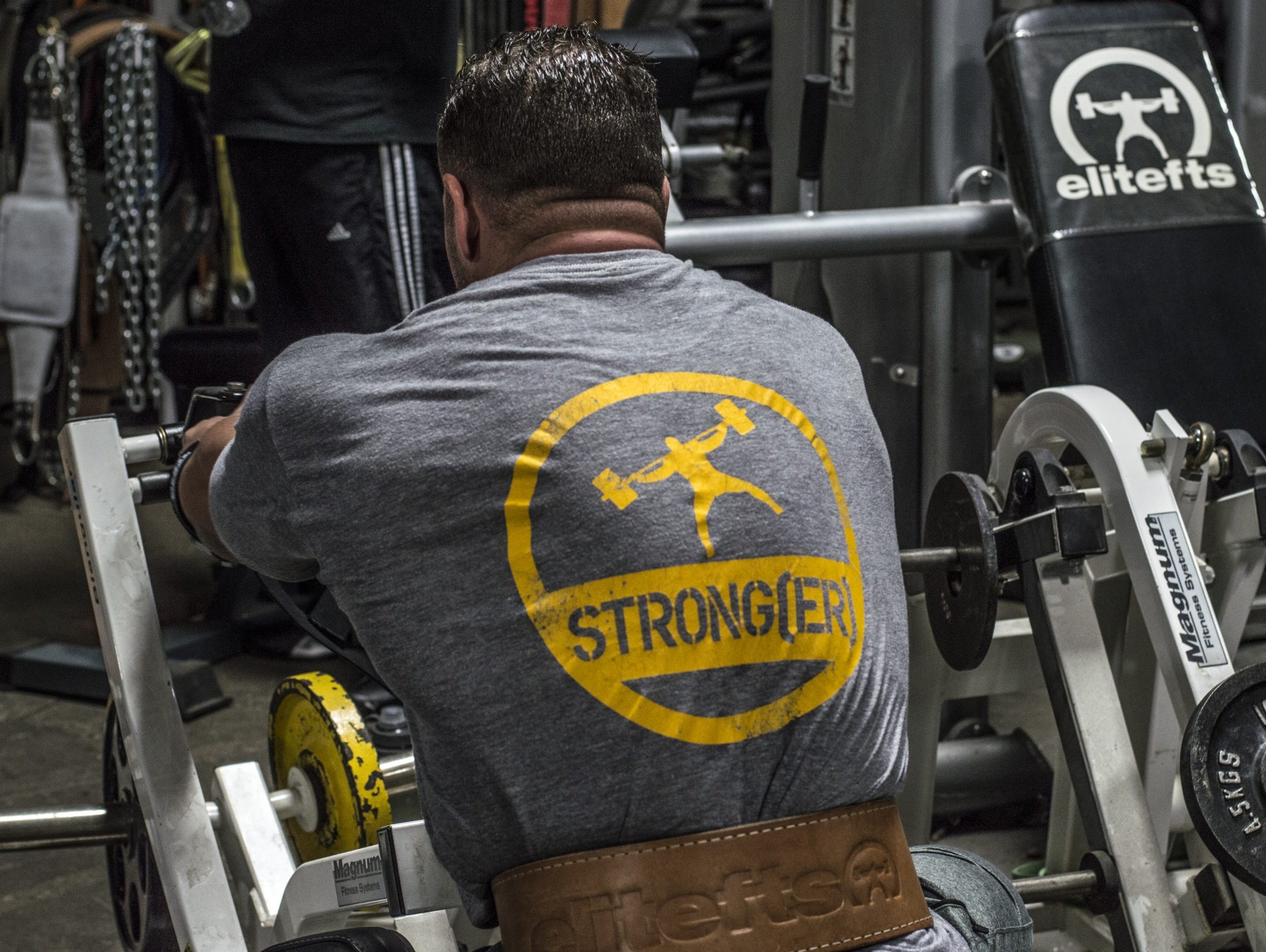 Bodybuilding Day: Back and Tricep Work