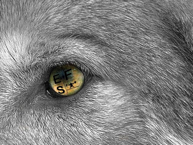 The Most Hardcore Article Ever