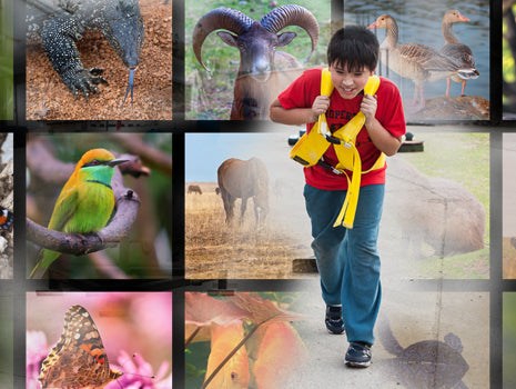 Take Your Training Day to the Zoo