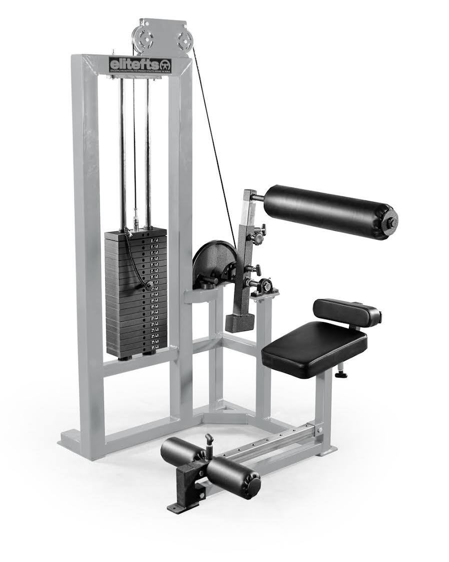 elitefts Low Back Machine - Selectorized